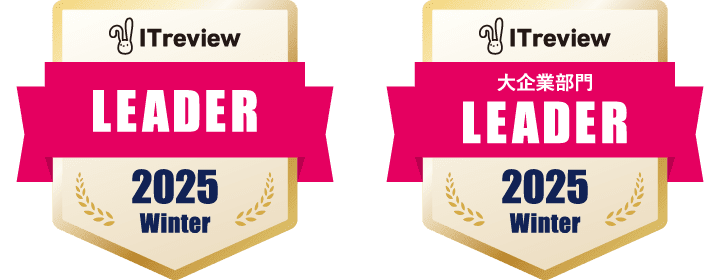 ITreview LEADER 2025 Winter