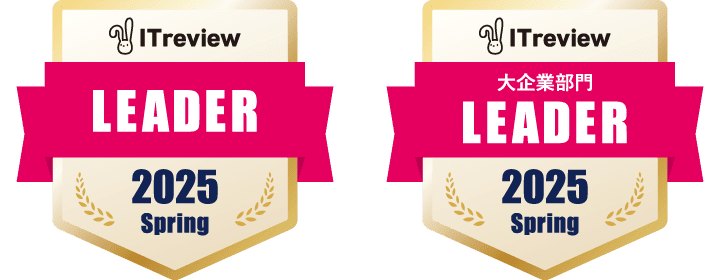 ITreview LEADER 2025 Winter