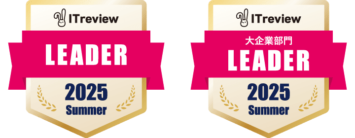 ITreview LEADER 2025 Winter